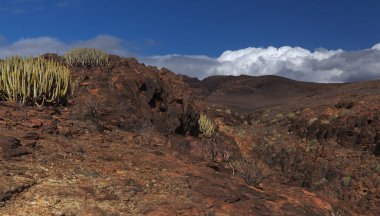 Gran Canaria, adanın güney kesimindeki çılgın Barranco del Toro çevresindeki yürüyüş rotası boyunca uzanan manzaralar, mağaralar ve mağaralarla dolu, San Agustin tatil köyüne yakın, kış yağmurlarından sonra vadide sular akıyor.