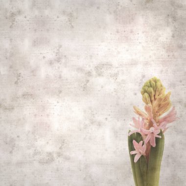 Sümbül çiçekli eski kağıt arkaplan 