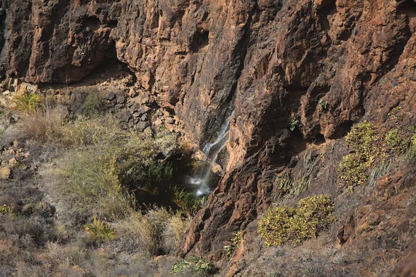 Gran Canaria Paysages Long Route Randonnée Autour Ravin Barranco Del — Photo