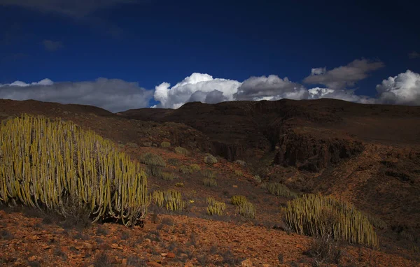 Gran Canaria Paysages Long Route Randonnée Autour Ravin Barranco Del — Photo