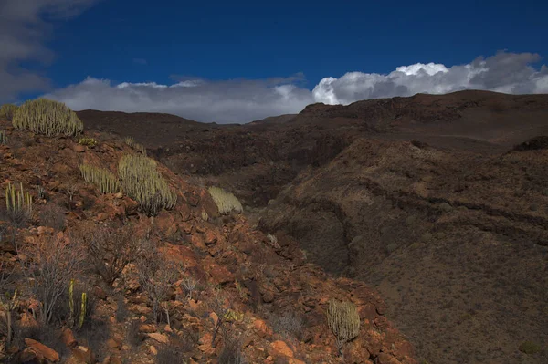 Gran Canaria Paisajes Largo Ruta Senderismo Alrededor Del Ravive Barranco —  Fotos de Stock