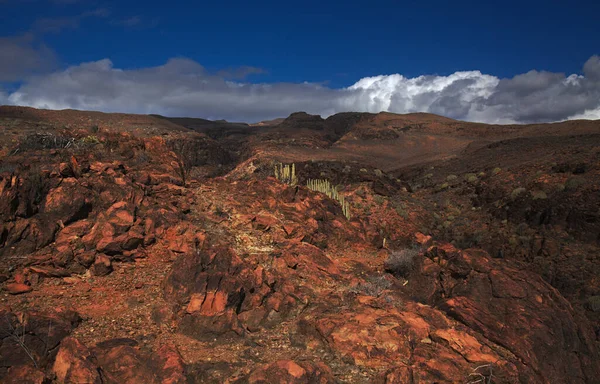 Gran Canaria Tájak Mentén Túraútvonal Körül Ravive Barranco Del Toro — Stock Fotó