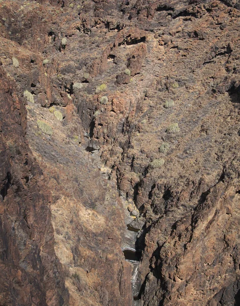 Gran Canaria Landskap Längs Vandringsleden Runt Ravinen Barranco Del Toro — Stockfoto