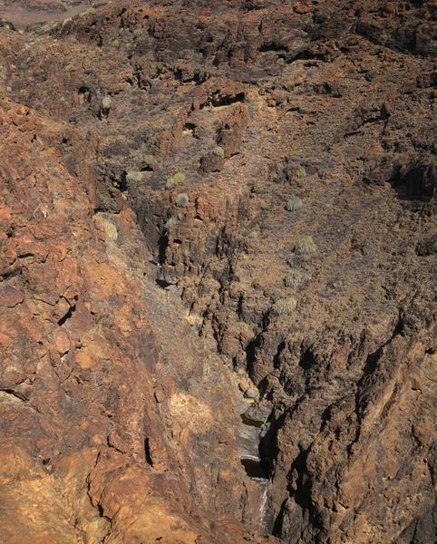 Gran Canaria Krajina Podél Turistické Stezky Kolem Divoké Barranco Del — Stock fotografie