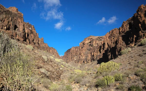 Gran Canaria Barranco Hondo Nun Etrafındaki Yürüyüş Yolu Boyunca Uzanan — Stok fotoğraf