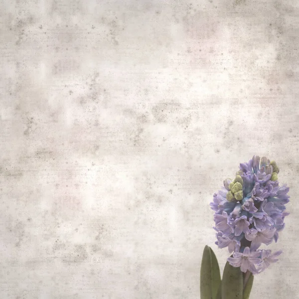 Sümbül çiçekli eski kağıt arkaplan 