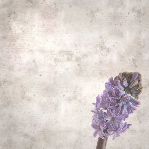 Sümbül çiçekli eski kağıt arkaplan 