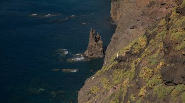 Gran Canaria, Agaete belediyesi arasında aşınmış batı kıyısı manzarası, Puerto de las Nieves ile Guayedra kumsalı arasında yürüyüş.