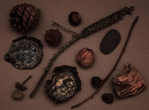 Arranjos Leigos Planos Coisas Naturais Encontradas Caminhadas — Fotografia de Stock