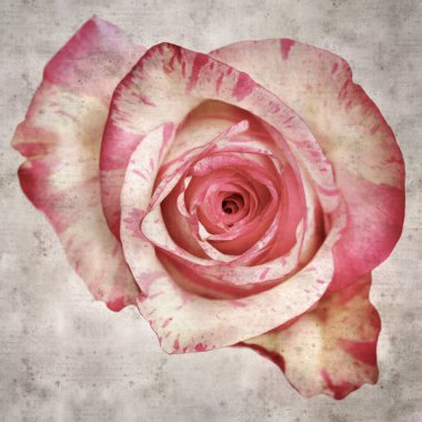 Benekli pembe ve kremalı eski kağıt kare arkaplan 