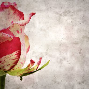 Benekli pembe ve kremalı eski kağıt kare arkaplan 