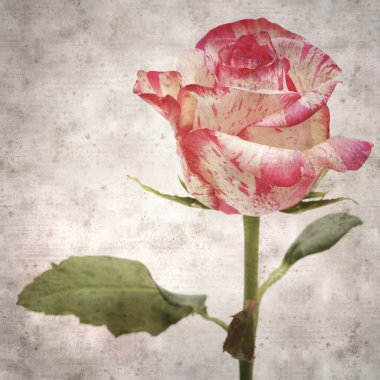 Benekli pembe ve kremalı eski kağıt kare arkaplan 