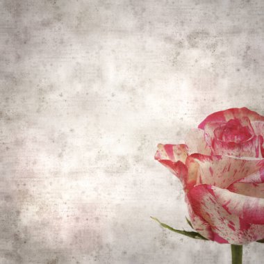 Benekli pembe ve kremalı eski kağıt kare arkaplan 