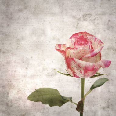 Benekli pembe ve kremalı eski kağıt kare arkaplan 