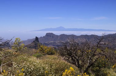 Gran Canaria, adanın merkezi manzarası, Las Cumbres, ie The Summits, Spring