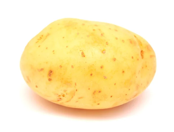 Grande Batata Nova Limpa Colheita Isolada Fundo Branco — Fotografia de Stock