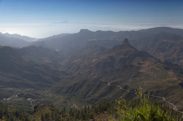 Gran Canaria Adanın Merkezi Manzarası Las Cumbres Summits Spring — Stok fotoğraf