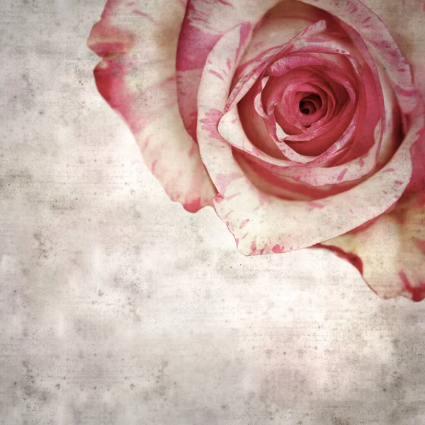 色彩斑斓的粉色和乳白色玫瑰的风格质感古旧的纸正方形背景 — 图库照片