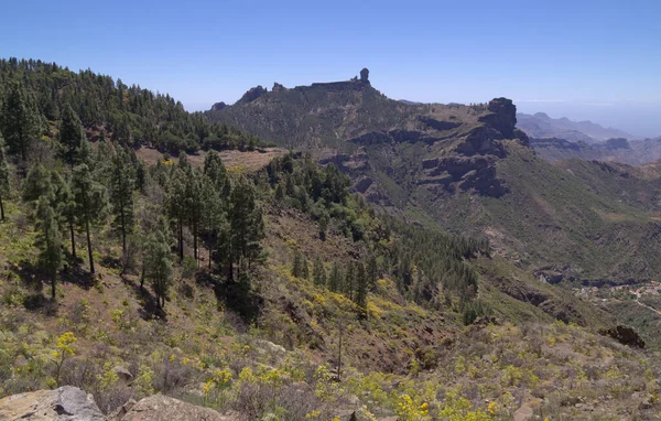 Gran Canaria Landschaft Des Zentralen Teils Der Insel Las Cumbres — Stockfoto