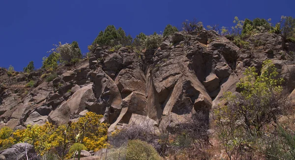 Gran Canaria Krajina Centrální Části Ostrova Las Cumbres Summity Jaro — Stock fotografie