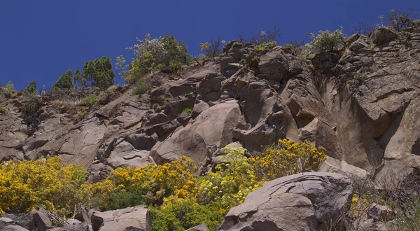 Gran Canaria Paysage Partie Centrale Île Las Cumbres Est Dire — Photo