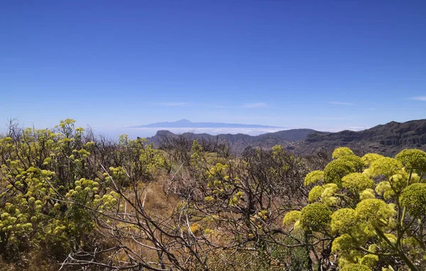 Gran Canaria Paysage Partie Centrale Île Las Cumbres Est Dire — Photo