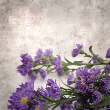  Eski kağıt kare stil eski desenli kağıt arka plan küçük mor paskalya çiçekleri arka plan