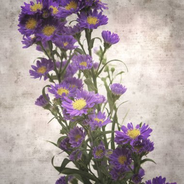  Eski kağıt kare stil eski desenli kağıt arka plan küçük mor paskalya çiçekleri arka plan