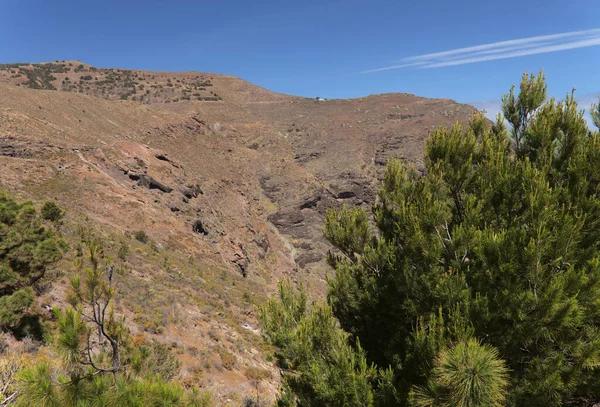 Gran Canaria Paisaje Parte Occidental Isla Largo Una Ruta Senderismo —  Fotos de Stock