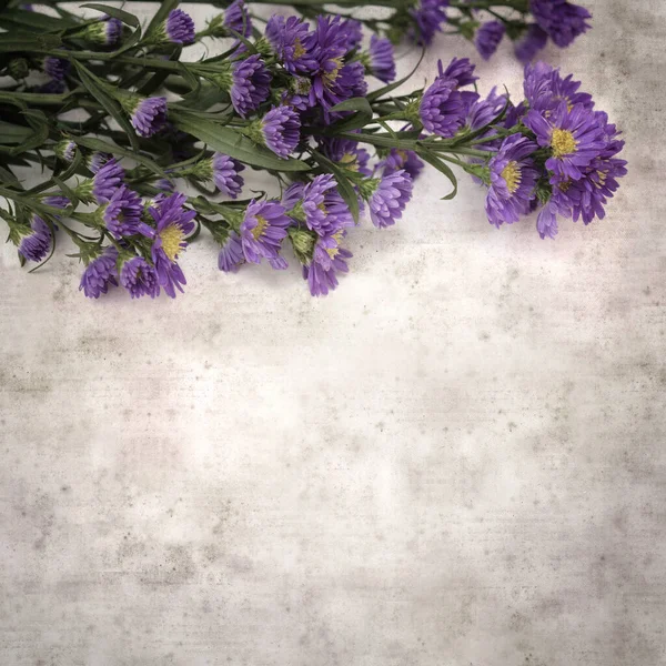 古い紙の正方形のスタイリッシュな古いテクスチャの紙の背景と小さな紫色のキャスターの花の背景 — ストック写真