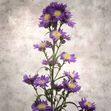  Eski kağıt kare stil eski desenli kağıt arka plan küçük mor paskalya çiçekleri arka plan