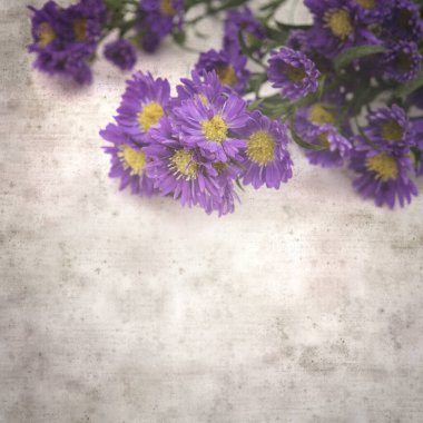  Eski kağıt kare stil eski desenli kağıt arka plan küçük mor paskalya çiçekleri arka plan