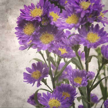 kare biçiminde eski desenli kağıt arka planda küçük mor paskalya çiçekleri