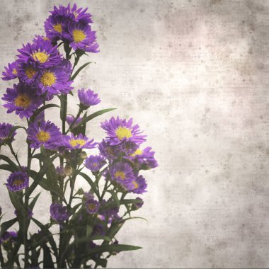 kare biçiminde eski desenli kağıt arka planda küçük mor paskalya çiçekleri