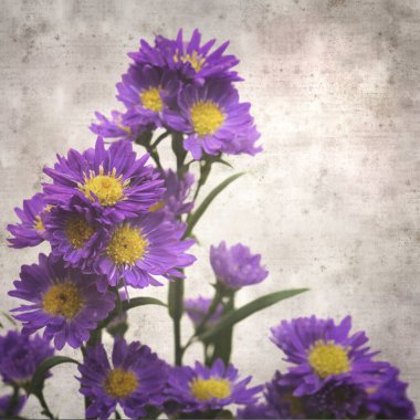 kare biçiminde eski desenli kağıt arka planda küçük mor paskalya çiçekleri