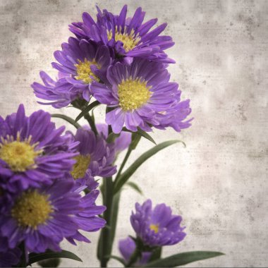 kare biçiminde eski desenli kağıt arka planda küçük mor paskalya çiçekleri