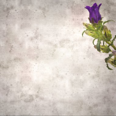 Kare biçiminde eski desenli kağıt zemin koyu mavi çan çiçeğiyle