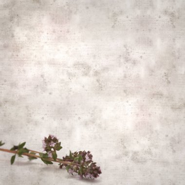 Kare biçiminde eski desenli kağıt arkaplan kekik filizi ile