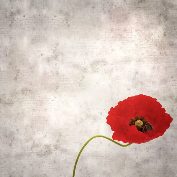Stylish Textured Old Paper Square Background Red Poppy Papaver Rhoeas — Stock Photo, Image