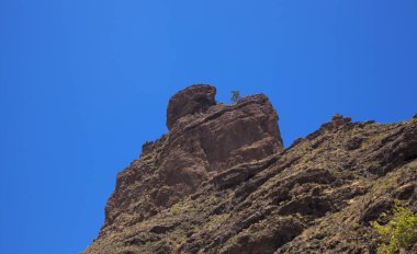 Gran Canaria, adanın merkezi manzarası, Las Cumbres, ie The Summits, yürüyüş rotası Tejeda - Roque Bentayga