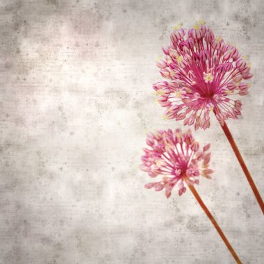 Pırasalı leylak çiçekleriyle süslü eski kağıt kare arka plan