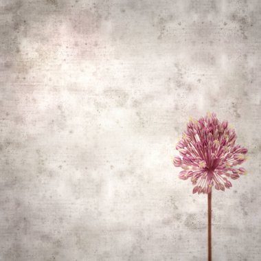 Pırasalı leylak çiçekleriyle süslü eski kağıt kare arka plan