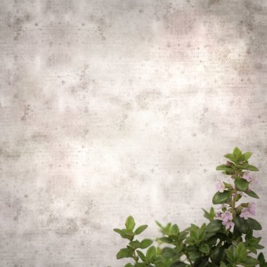 kare biçiminde eski dokulu kağıttan arkaplan ve limon kekiği