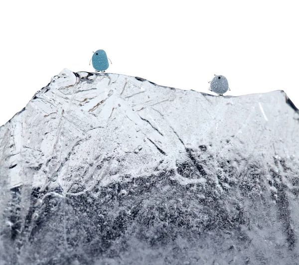 足やくちばしや翼を氷の山の上に描いて白い背景に孤立させました — ストック写真