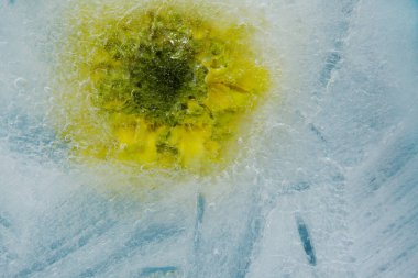 İçinde küçük yuvarlak hava kabarcıkları olan buz dokusu. 