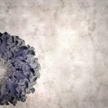 Kare biçiminde eski desenli kağıt arka planda sarı çift etiket çiçekleri