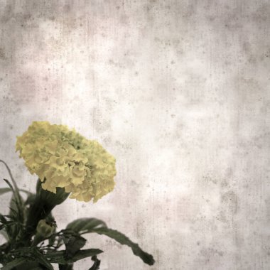 Kare biçiminde eski desenli kağıt arka planda sarı çift etiket çiçekleri