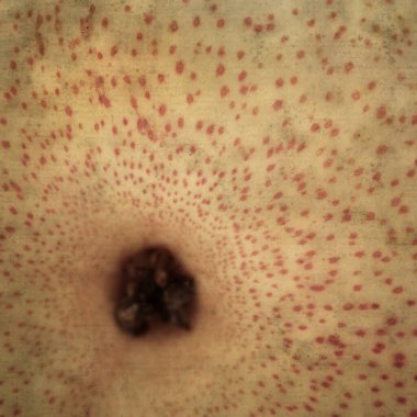 Kare biçiminde, kırmızı ve sarı armut meyveli kağıt arka plan