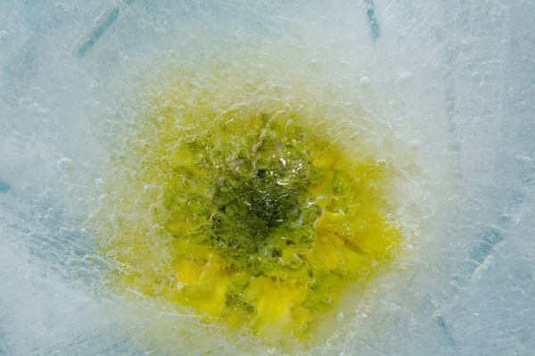 Textura Hielo Con Pequeñas Burbujas Aire Redondas Atrapadas Dentro —  Fotos de Stock