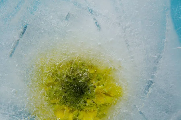 中に小さな丸みを帯びた気泡が閉じ込められた氷の質感 — ストック写真